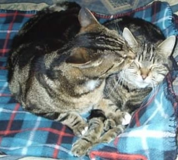 Eric and Storm