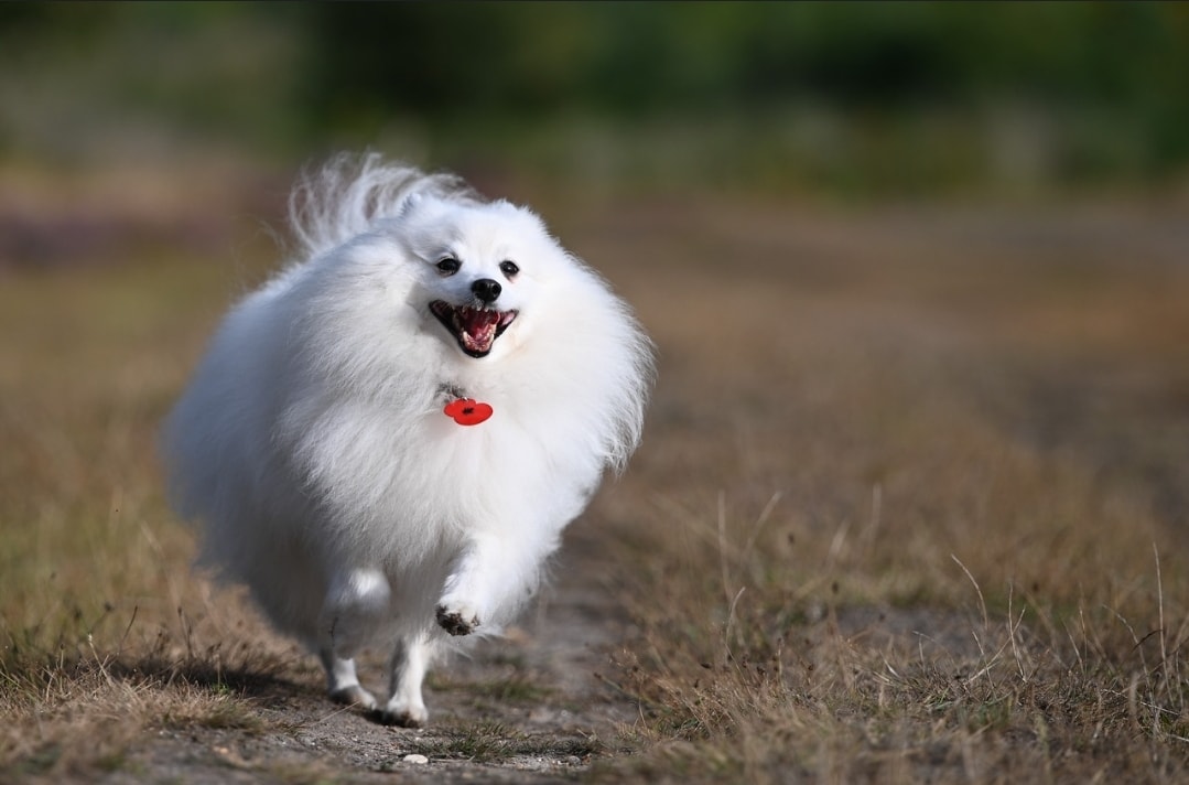 Out on a walk