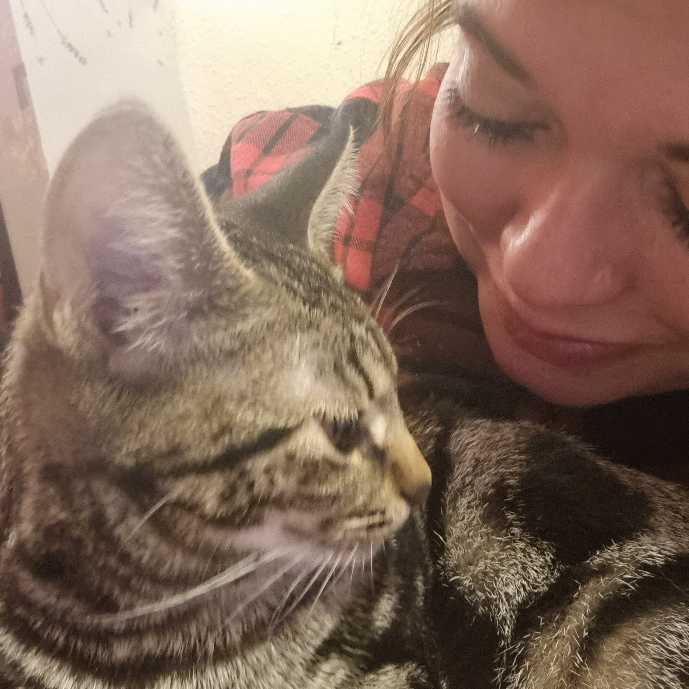 Vinnie the cat